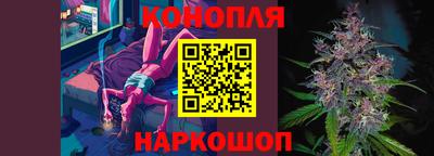 стаф Обь