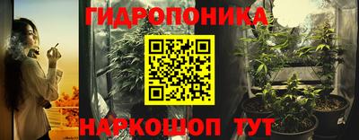 стаф Обь