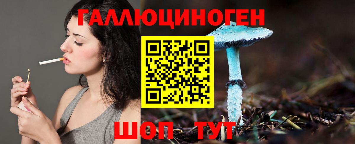 Галлюциногенные грибы мицелий Родники